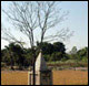 Dinajpur